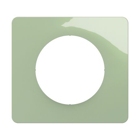 CP0501 Plaque de finition simple Legrand Céliane, coloris vert celadon