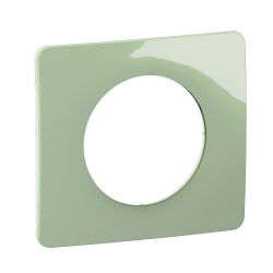 CP0501 Plaque de finition simple Legrand Céliane, coloris vert celadon