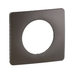 CP1001 Plaque de finition simple Legrand Céliane, coloris gris cendre