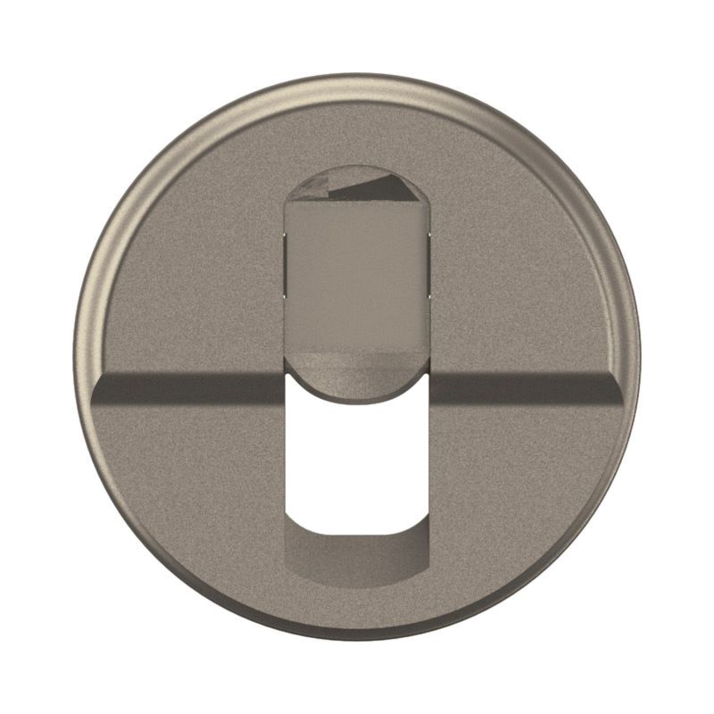 CT0346 Enjoliveur pour mécanisme RJ45, Simple Legrand Céliane, coloris titanium