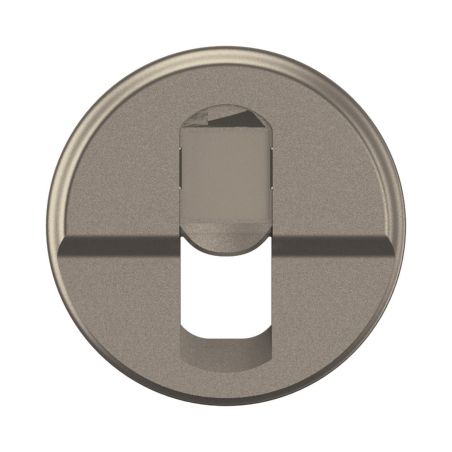 CT0346 Enjoliveur pour mécanisme RJ45, Simple Legrand Céliane, coloris titanium