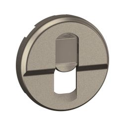 CT0346 Enjoliveur pour mécanisme RJ45, Simple Legrand Céliane, coloris titanium