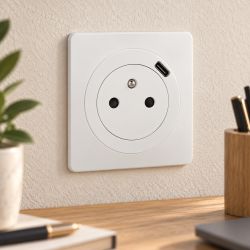 600341 Legrand - Dooxie Prise de courant 2P+T Surface 16A avec prise USB Type-C - Blanc