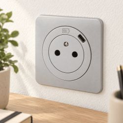 600441 Legrand - Dooxie Prise de courant 2P+T Surface 16A avec prise USB Type-C - Aluminium