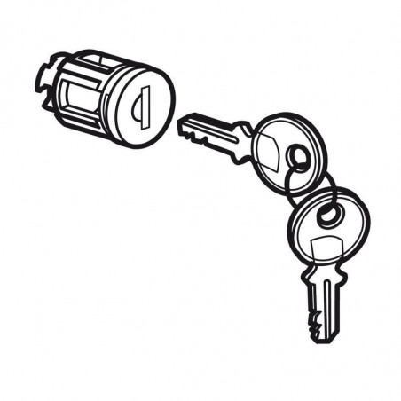 020291 Legrand - Barillet à clé type 405 pour porte métal ou vitrée XL3 160, XL3 400 et XL3 800