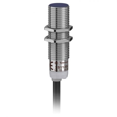 XS112BLPAL2 Schneider Capteur Inductif cylindrique M12 12 à 24VDC PNP NO 3 fils Noyable Cable 2m Telemecanique