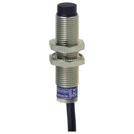 XS612B4PAL2 Schneider OsiSense XS6 - détecteur inductif - M12 - L55mm - laiton - Sn 7mm - câble 2m Telemecanique