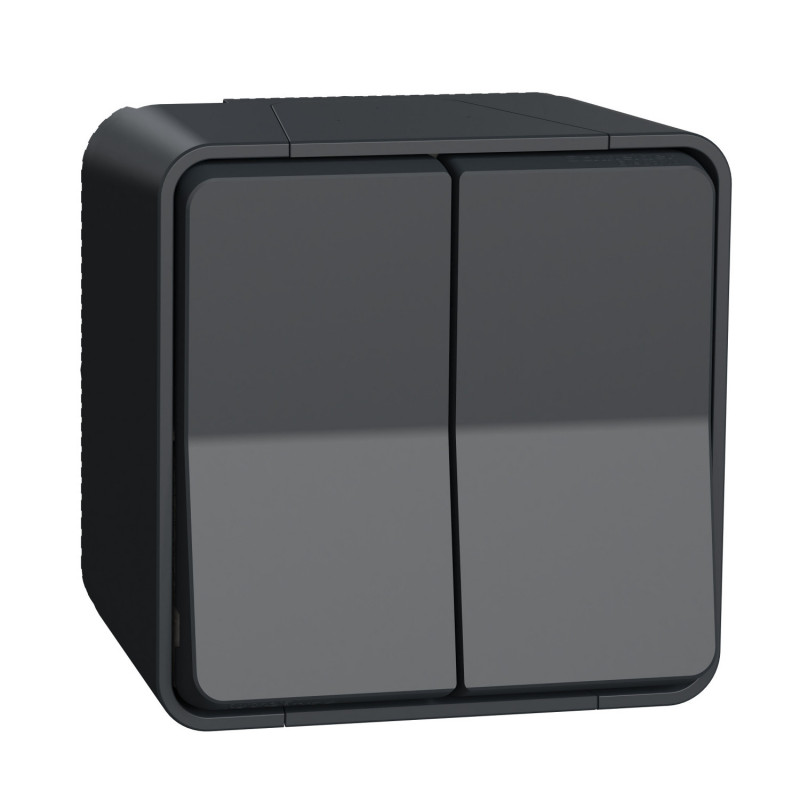 MUR35022 Schneider Mureva Styl - Double va et vient - saillie - IP55 - IK08 - complet