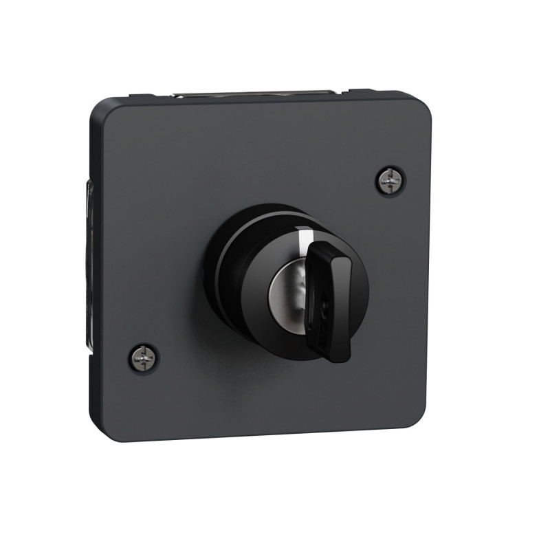 MUR35061 Schneider Mureva Styl - Interrupteur à clé 3 positions - composable - IK08 - Étanche IP55