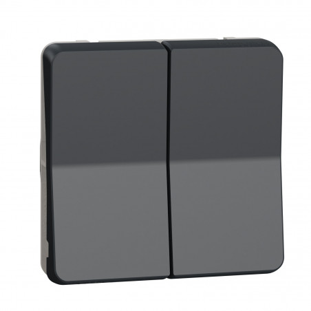 MUR35326 Schneider Mureva Styl - Double bouton poussoir - composable - IP55 - IK08