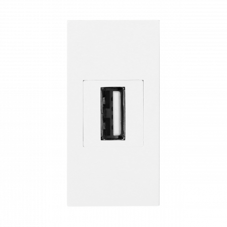 Prise USB Data demi module 45x45 pour goulotte appareillable - Blanc - Connexion à vis