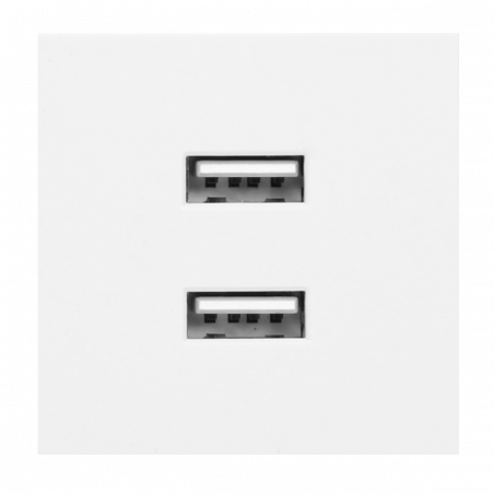 Prise double chargeur USB - 45x45 - Blanc - pour goulotte appareillable