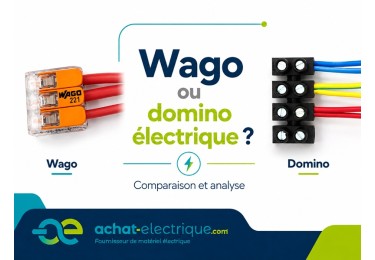 Connecteur Wago ou domino électrique ?